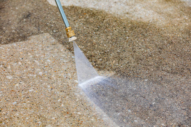 Best Animal Enclosure Cleaning  in Seymour, TX